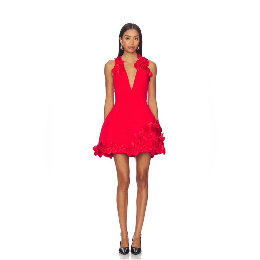 NWOT BRONX BANCO Estelle Red Floral Appliqué V-Neck Mini Dress